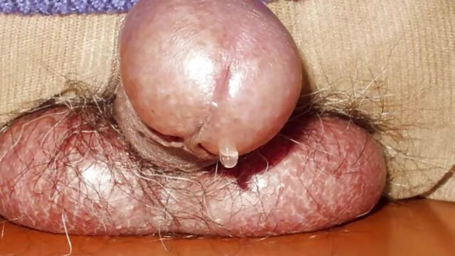 สีน้ำตาลสูงให้ blowjob ที่มั่นคง video หนัง โป๊